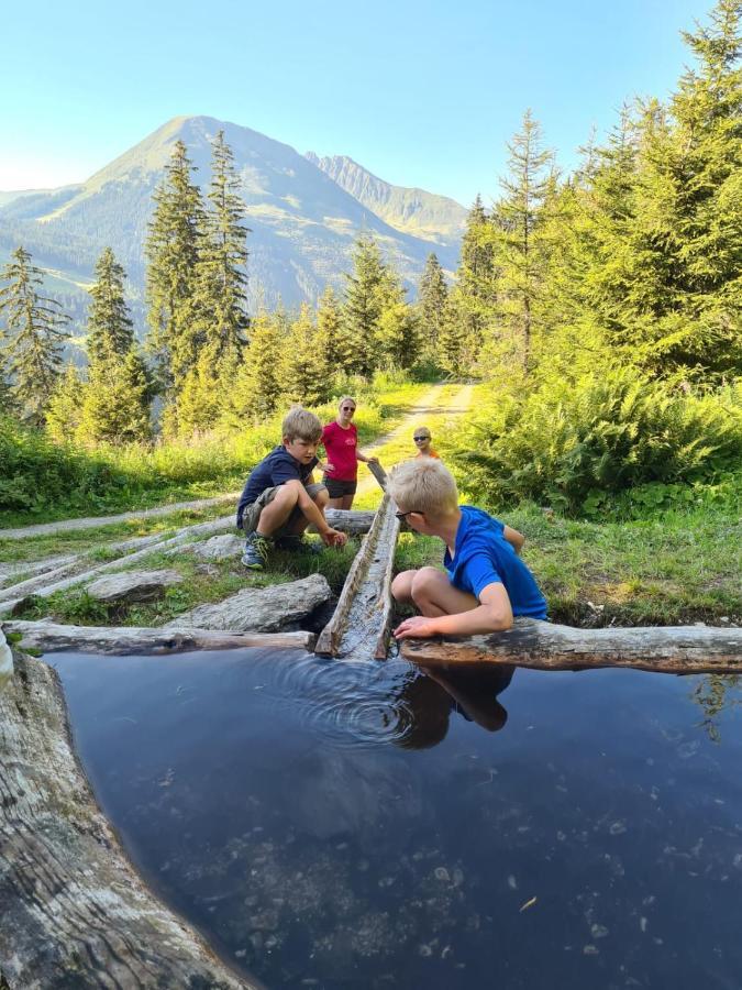 Отель Brixnerhof Im Zillertal Шлиттерс Экстерьер фото