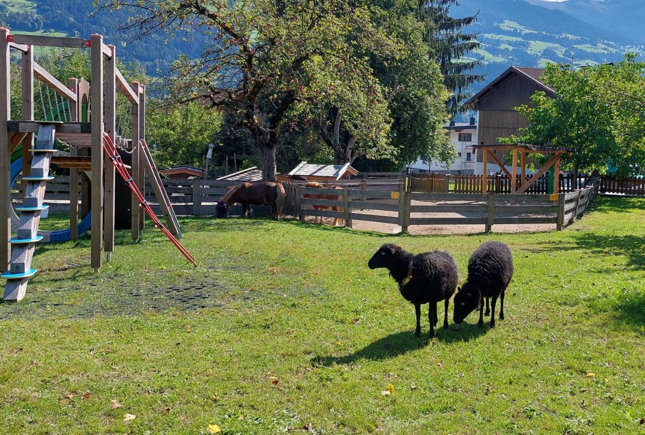 Отель Brixnerhof Im Zillertal Шлиттерс Экстерьер фото