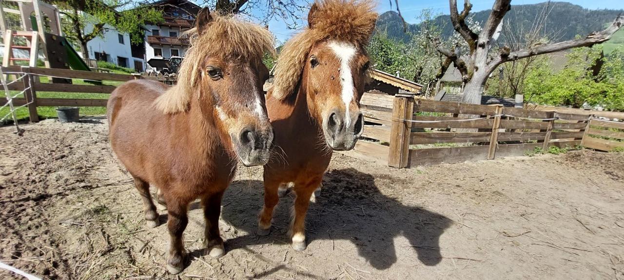 Отель Brixnerhof Im Zillertal Шлиттерс Экстерьер фото