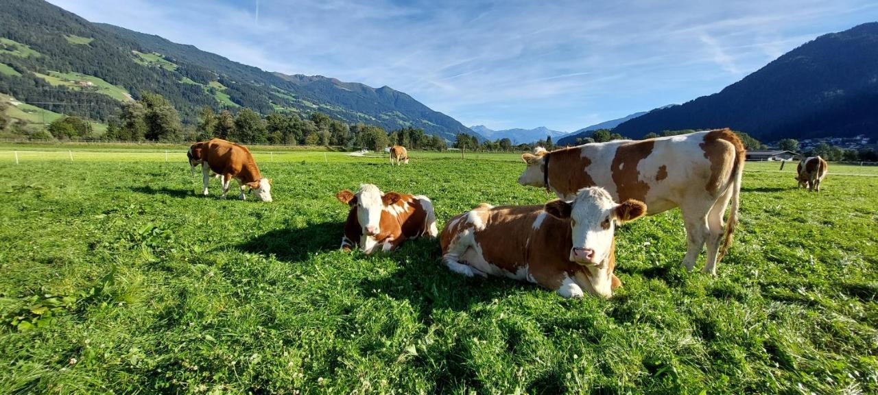 Отель Brixnerhof Im Zillertal Шлиттерс Экстерьер фото