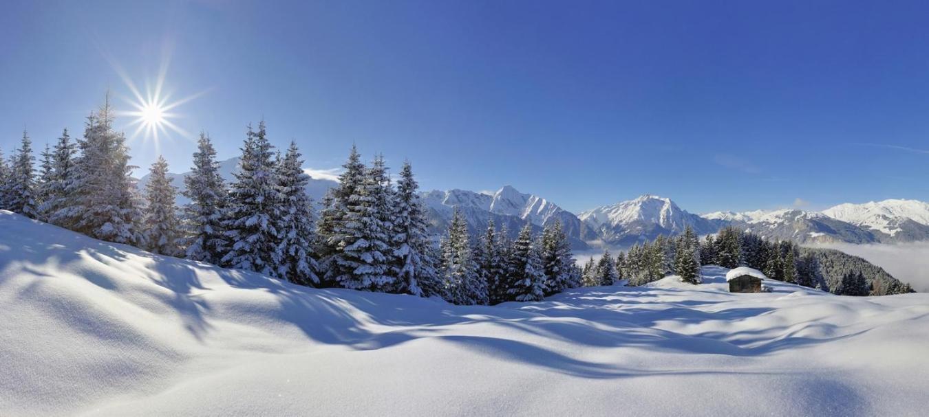 Отель Brixnerhof Im Zillertal Шлиттерс Экстерьер фото