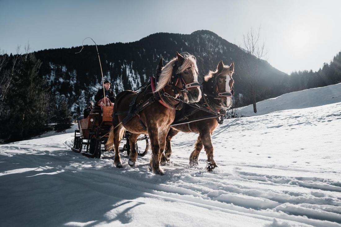 Отель Brixnerhof Im Zillertal Шлиттерс Экстерьер фото